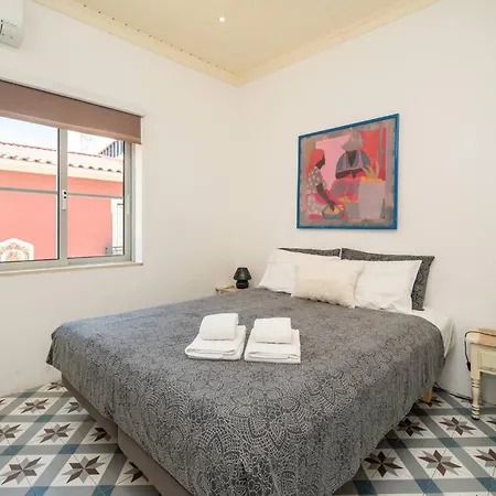 Terracota 西尔韦斯