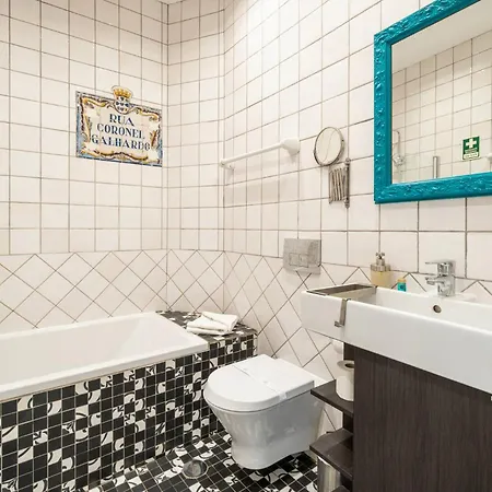 Terracota 西尔韦斯