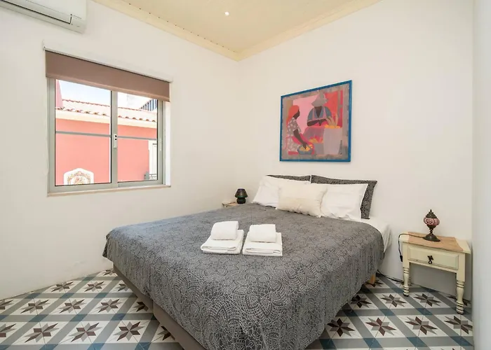 Terracota 西尔韦斯