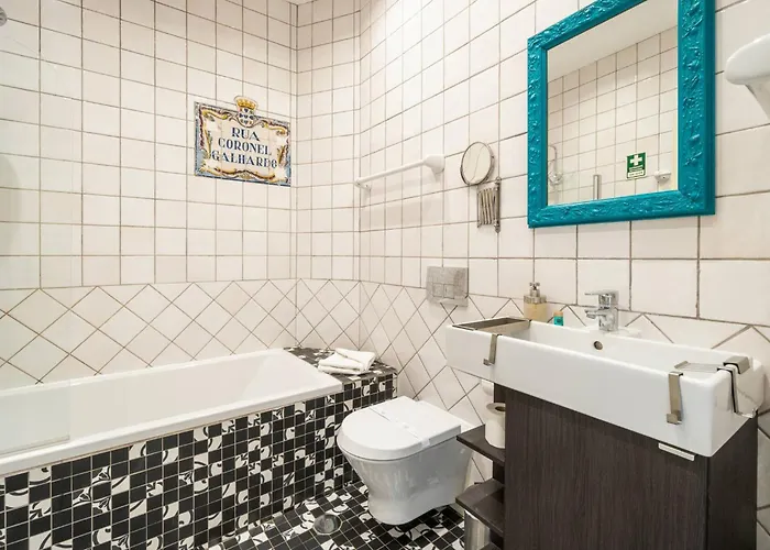 Terracota 西尔韦斯