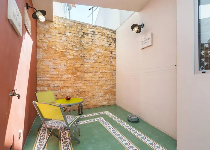 Terracota 西尔韦斯